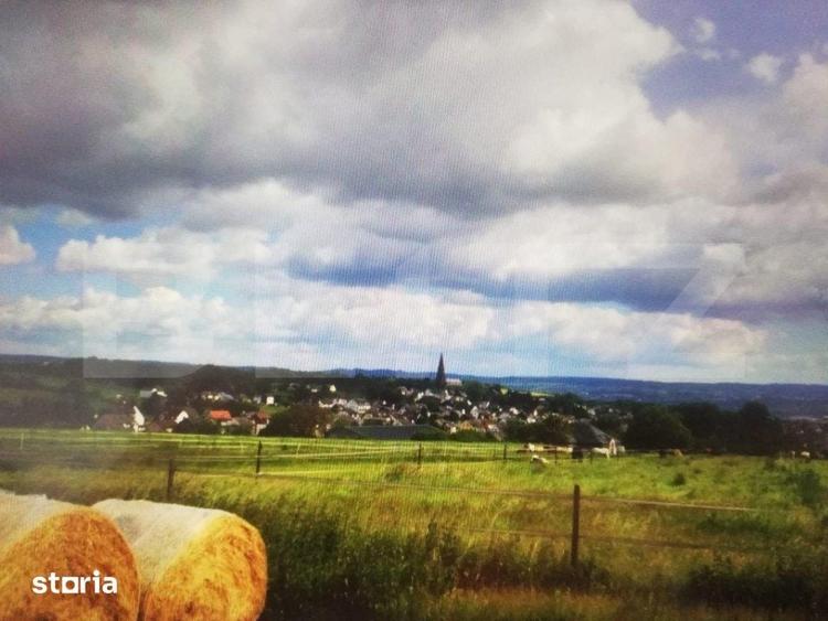 Teren de 2900 mp, în Pojejena