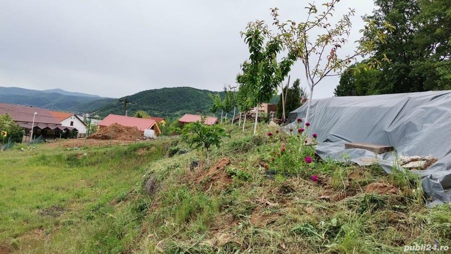 Teren de 1217 mp, în Eșelnița