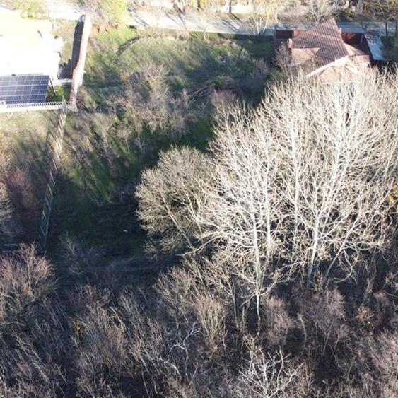 Teren Construcții intravilan de 4542 mp, în Leamna de Jos