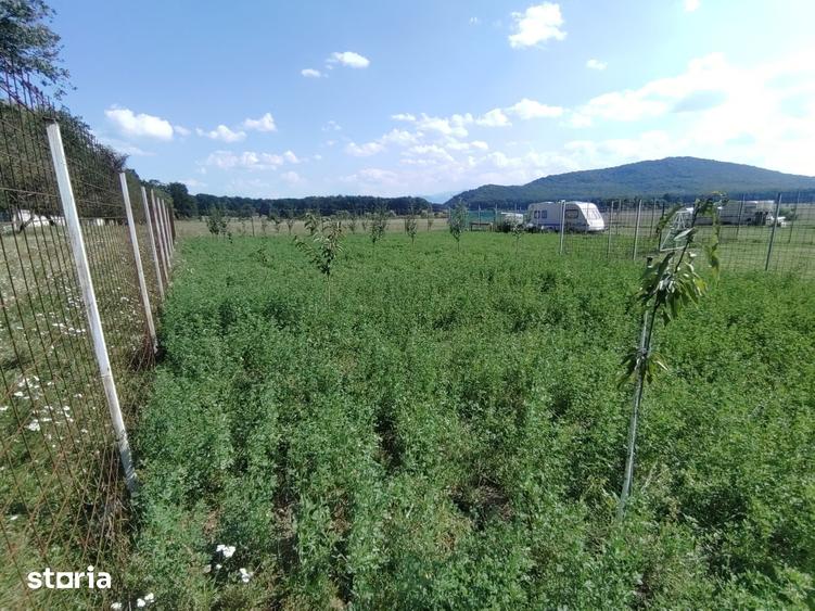 Teren agricol de vanzare, 500mp, imprejmuit - 3