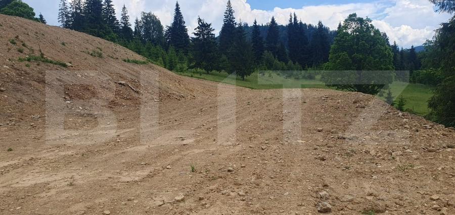 Teren Construcții extravilan de 19492 mp, în Vatra Dornei