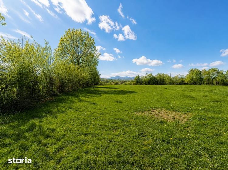 Teren de 5967 mp, în Glăjărie