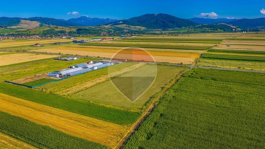 Teren Construcții intravilan de 7500 mp, în Tărlungeni