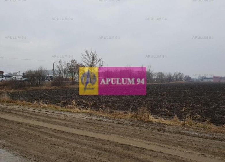 Teren Construcții intravilan de 13705 mp, în 1 Decembrie