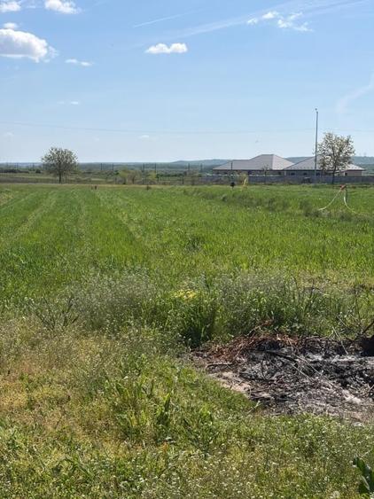 Teren Construcții intravilan de 1000 mp, în Filiași