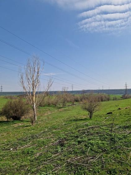 Teren agricol extravilan de 79106 mp, în Exterior Est