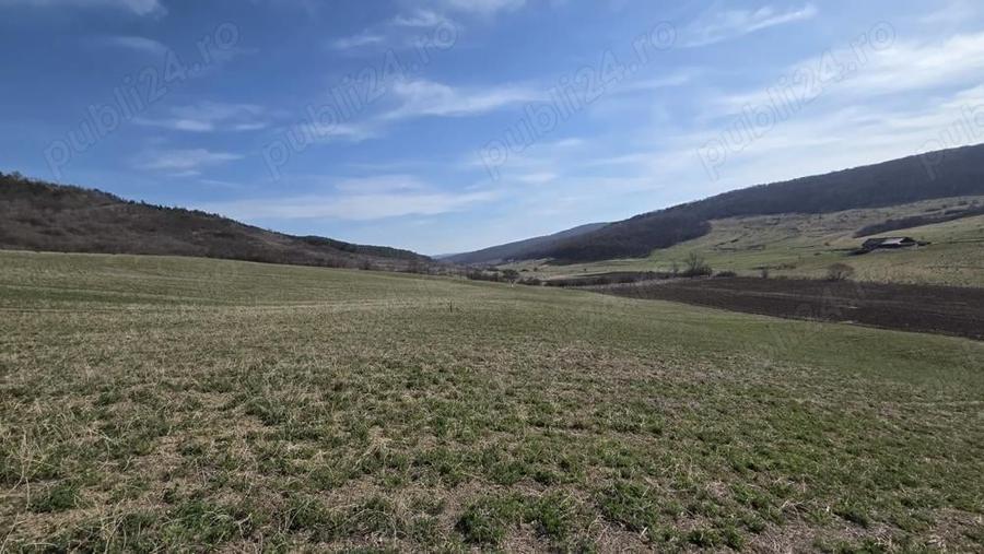 Teren de 600 mp, în Central