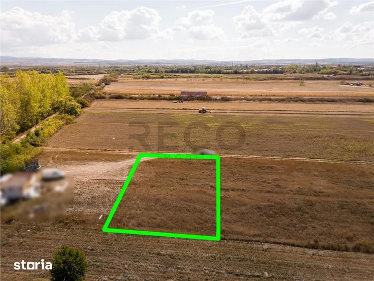 RECO Teren intravilan Tileagd 577 MP - 5