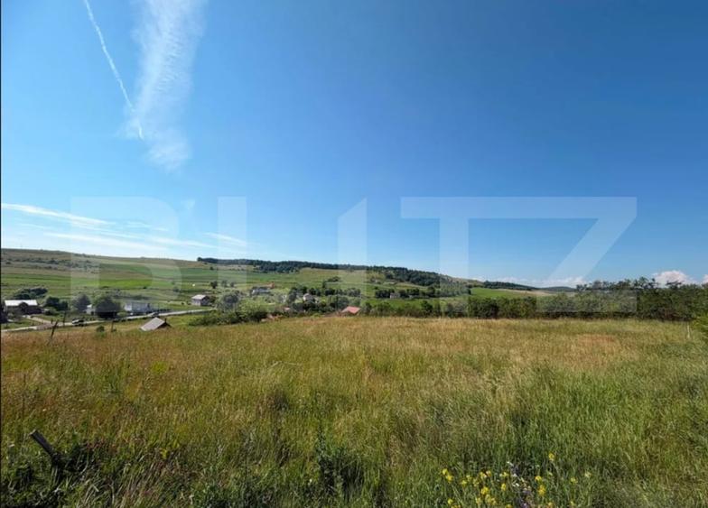 Teren Construcții intravilan de 3834 mp, în Vultureni