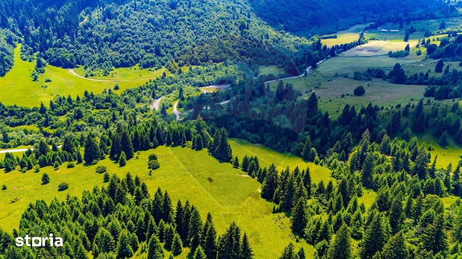Teren de 18900 mp, în Central