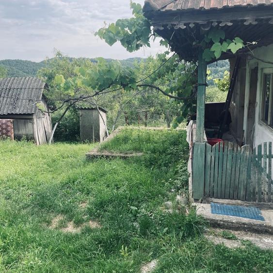 Casă cu 2 camere în Plai