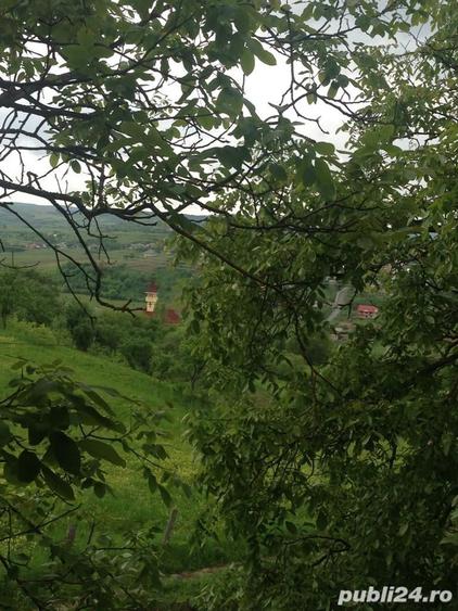 Teren de 4400 mp, în Băița