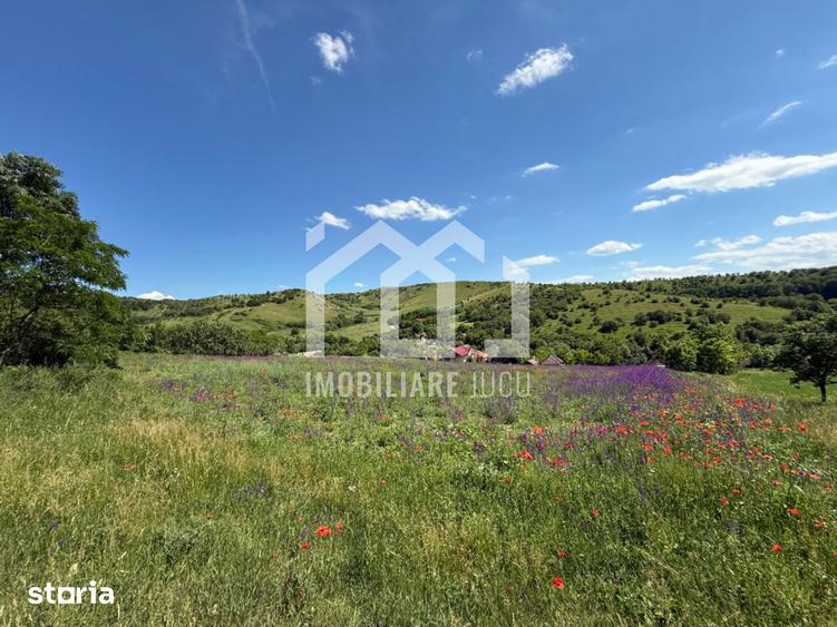 Teren de 2486 mp, în Jucu