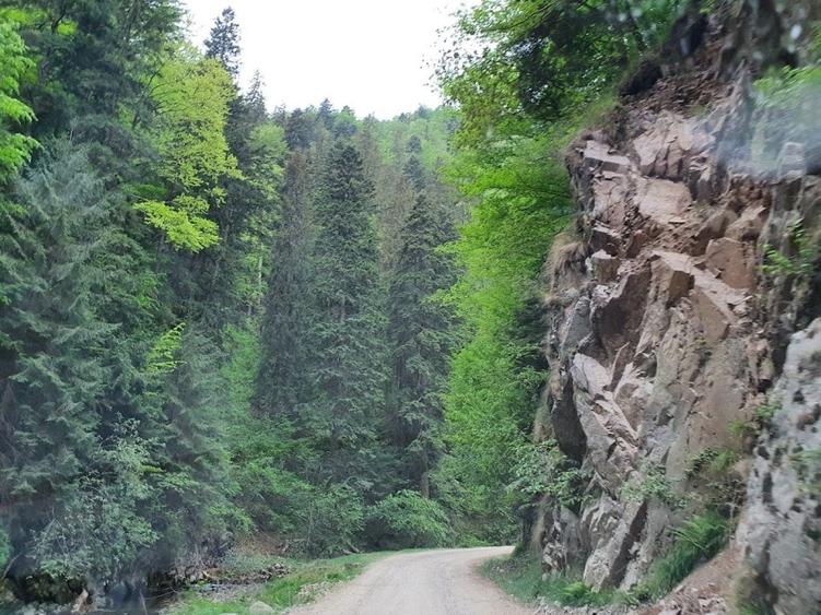 Teren extravilan de 500 mp, în Brădetu