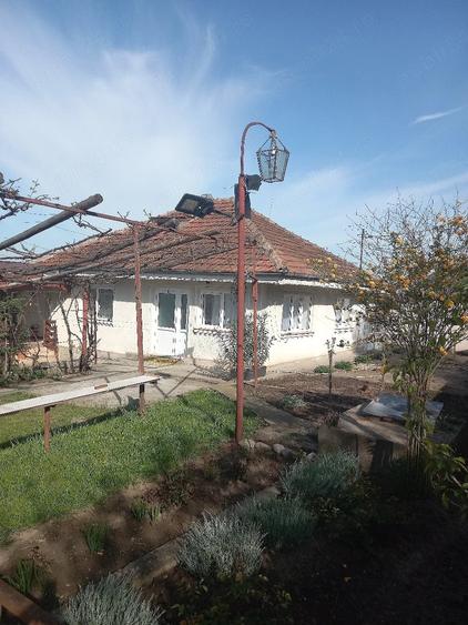 Casă cu Teren 1260 Mp în Muntenii de Jos