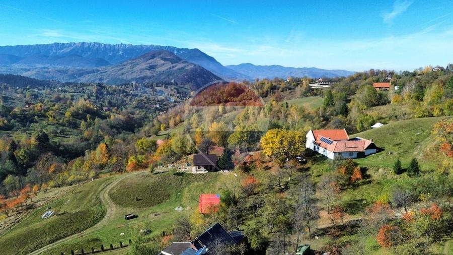 Teren agricol intravilan de 3000 mp, în Sohodol