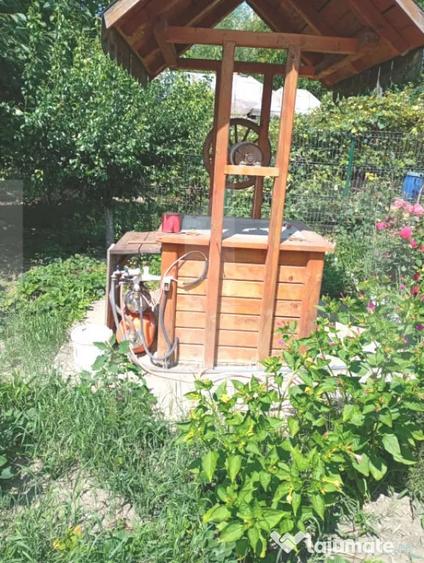 Casă cu 2 camere cu Teren 3600 Mp în Broscăuți