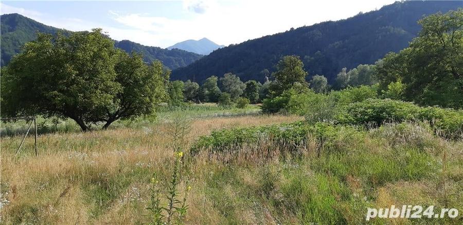 Teren de 4150 mp, în Drăgănești (Brezoi)