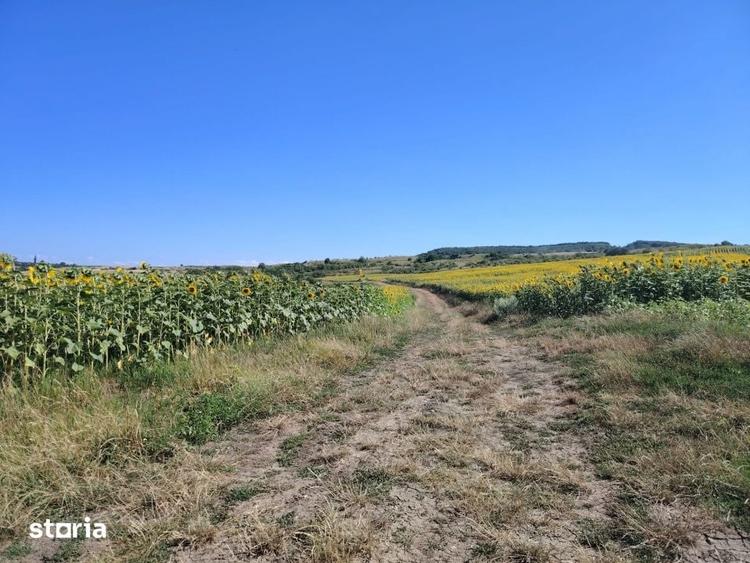 Investitie in natura 2.900 mp la 16 euro/mp in Macicasu/Chinteni - 1