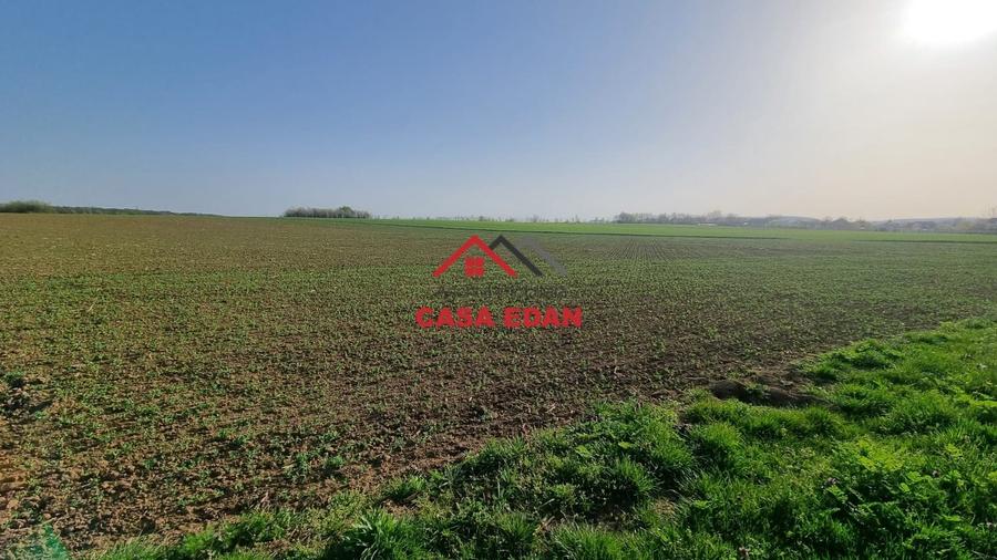 Teren agricol extravilan de 5000 mp, în Urleta