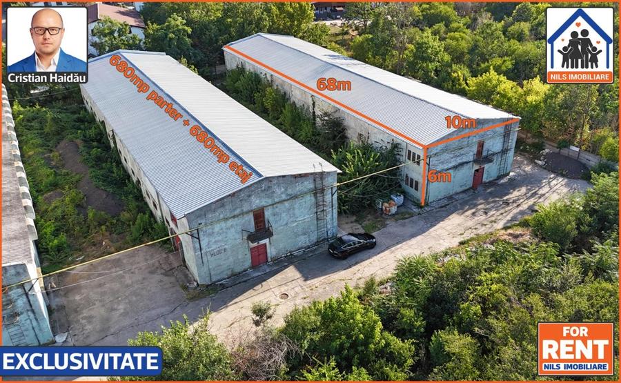 Hale de inchiriat in 1 Decembrie Ilfov | NILS Imobiliare - 1