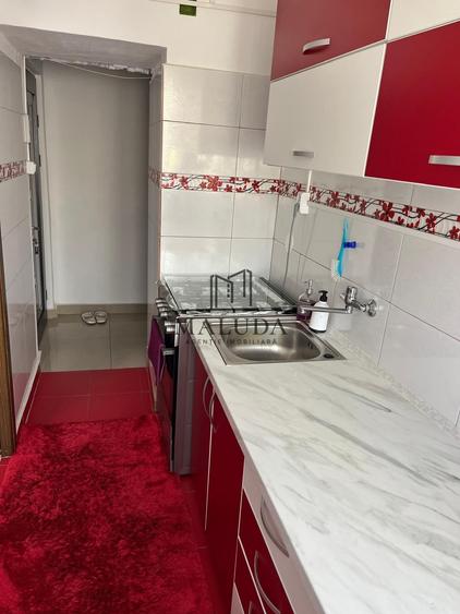 Apartament cu 2 camere, mobilat în Negru Vodă