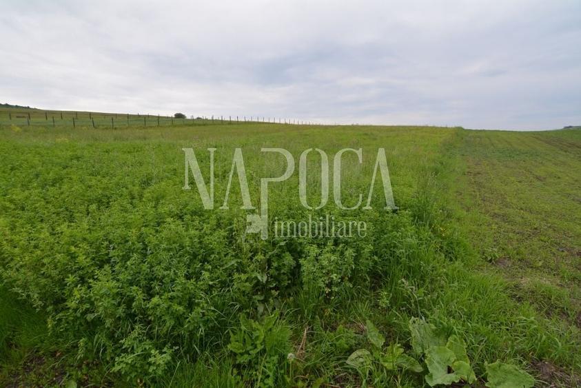 Teren Construcții extravilan de 5800 mp, în Popești