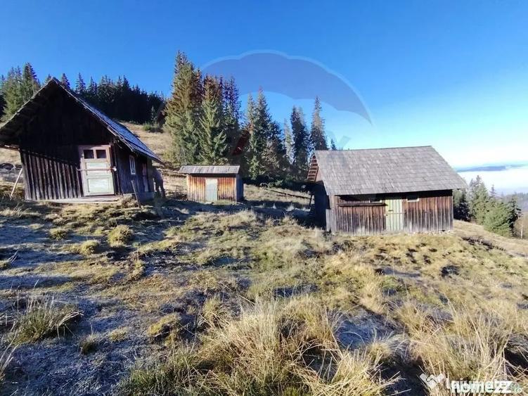 Teren de 31461 mp, în Panaci