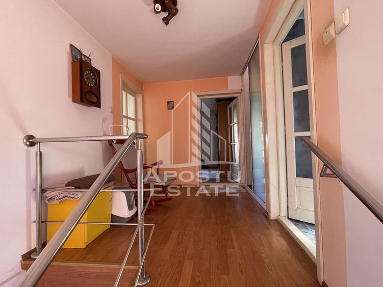 Casa Freidorf Timisoara - 6