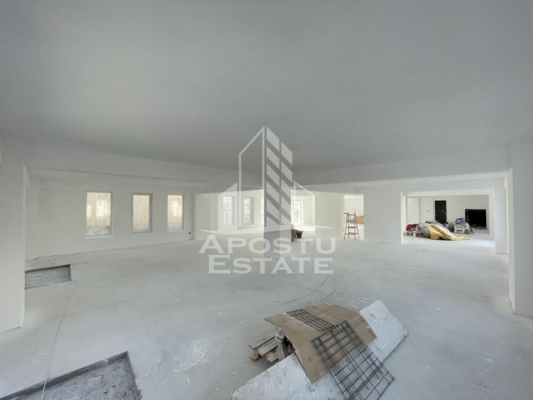 Spațiu comercial, de 238 mp, în Lipovei