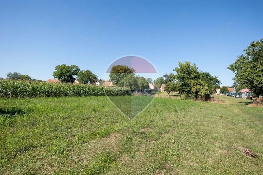 Teren de 1620 mp, în Comana