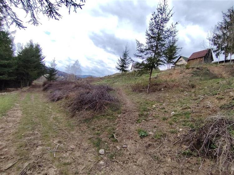 Teren Construcții intravilan de 1336 mp, în Izvoru Mureșului