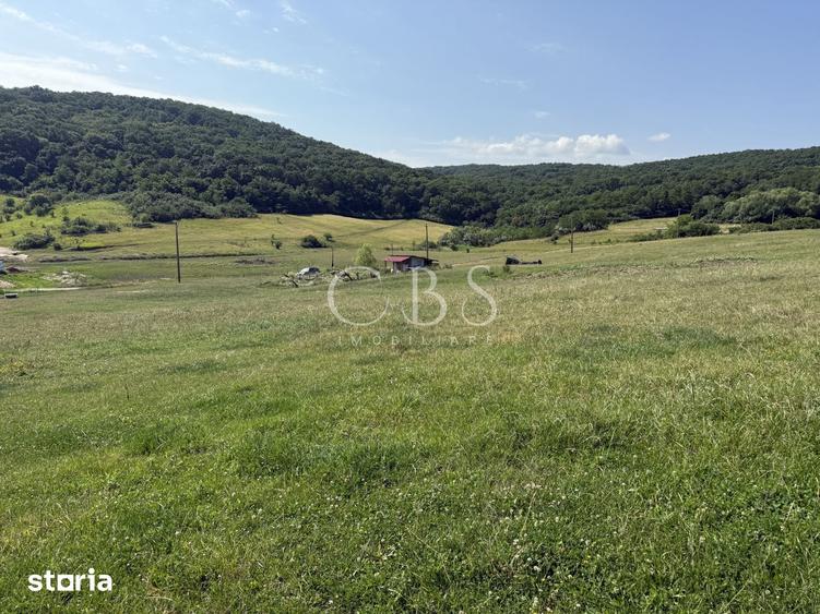 Teren de 5800 mp, în Dezmir