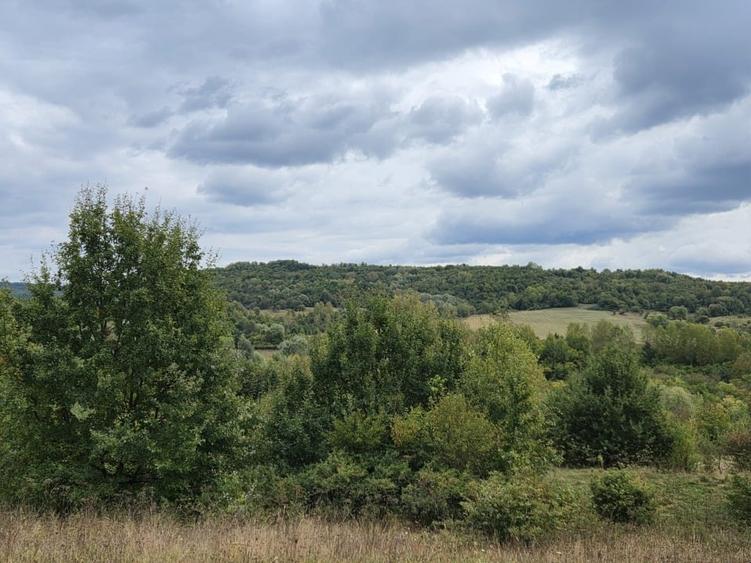 Teren Construcții intravilan de 40000 mp, în Mihăești