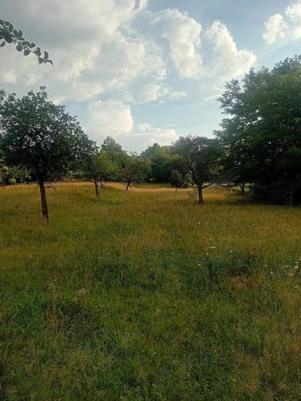 Teren de 3112 mp, în Breb