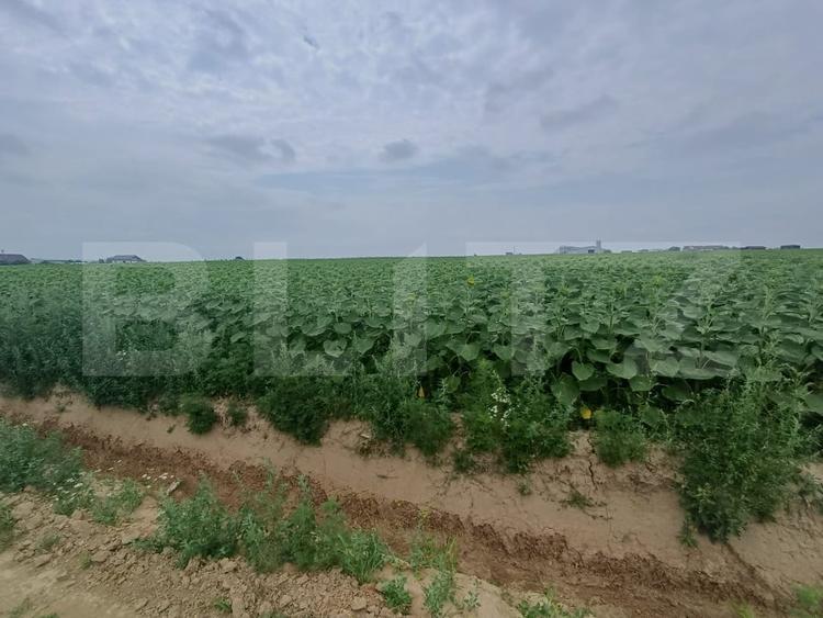 Teren Construcții intravilan de 500 mp, în Exterior Est