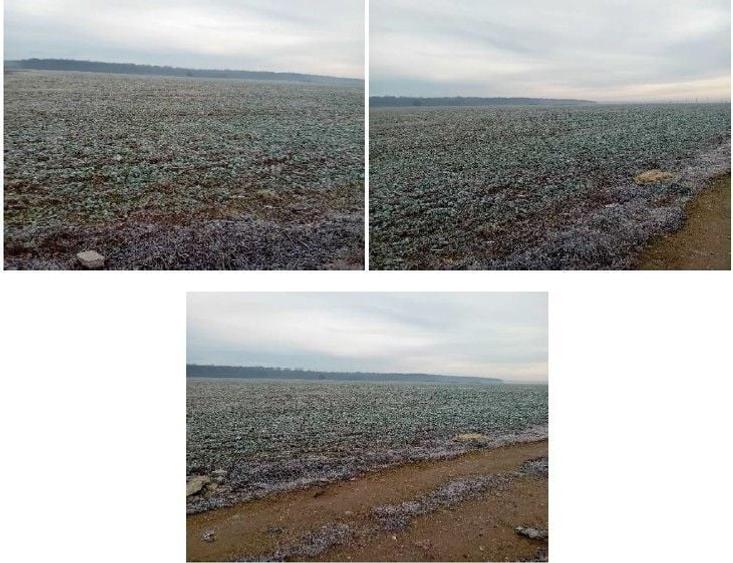 Teren de 1831 mp, în Snagov
