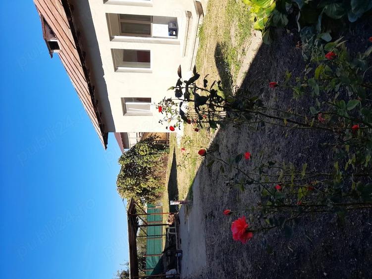 Casă cu 4 camere cu Teren 1787 Mp în Filipeștii de Târg