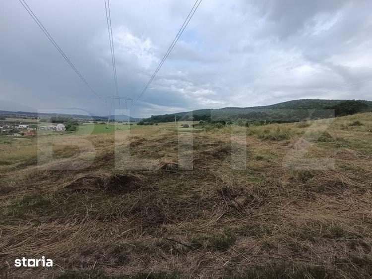 Teren 3.600 mp in Podu Olt Ideal pentru livada, cabana sau invest - 3