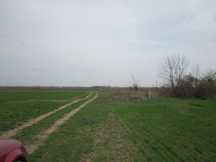 Teren Construcții intravilan de 646 mp, în Domnești