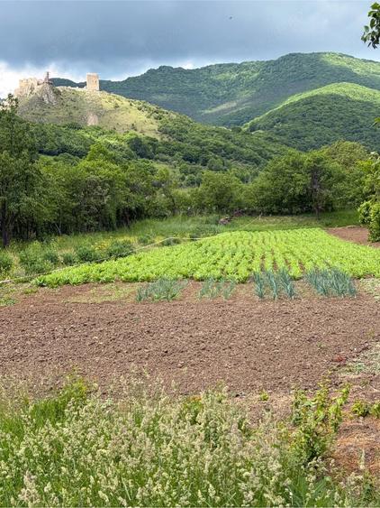 Casă cu Teren 1687 Mp în Colțești