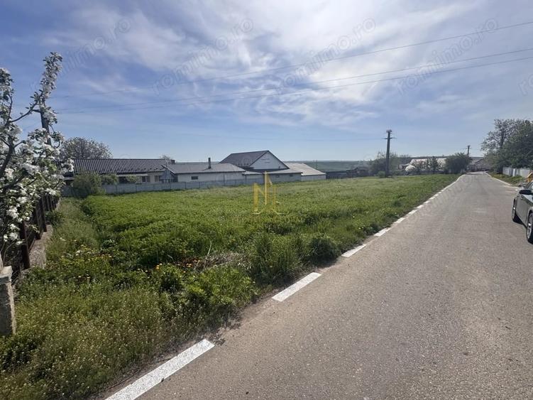 Teren de 1699 mp, în Moara
