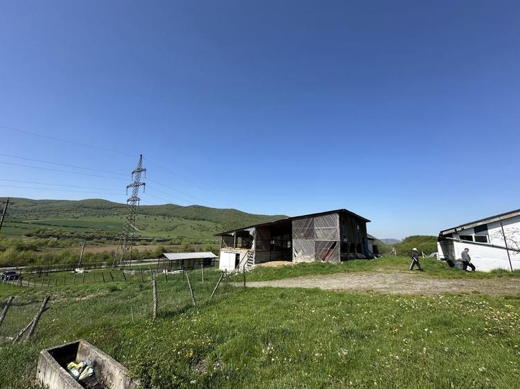 Casă cu 3 camere cu Teren 10000 Mp în Central