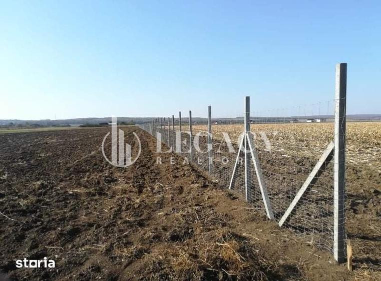 Teren de 30101 mp, în Săbăoani