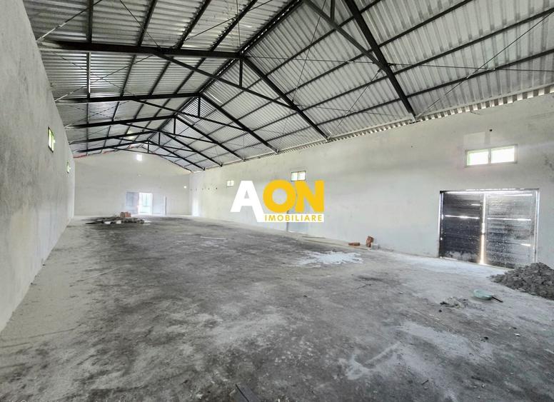 Spațiu industrial, de 280 mp, în Ampoi 1