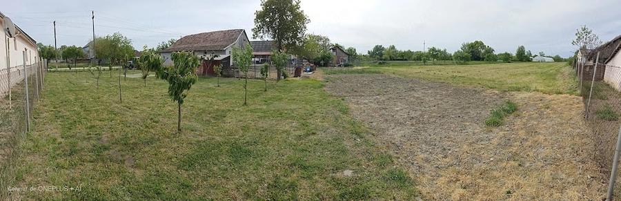 Casă cu 3 camere cu Teren 3500 Mp în Satu Mare