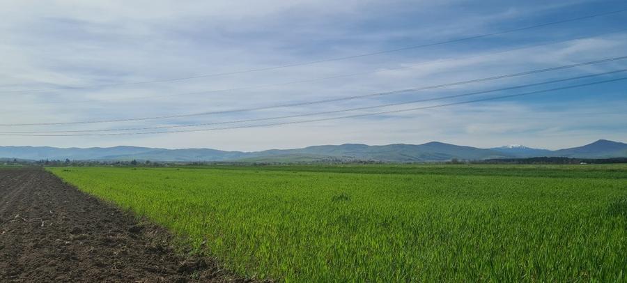 Teren agricol extravilan de 8500 mp, în Reci