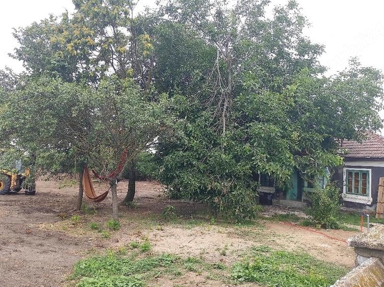 Casă cu Teren 1400 Mp în Coșoteni