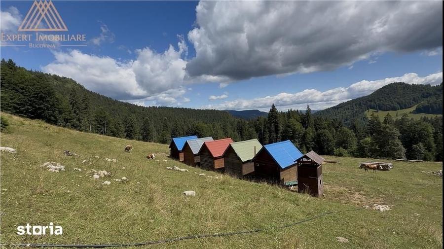 Teren de 50000 mp, în Central