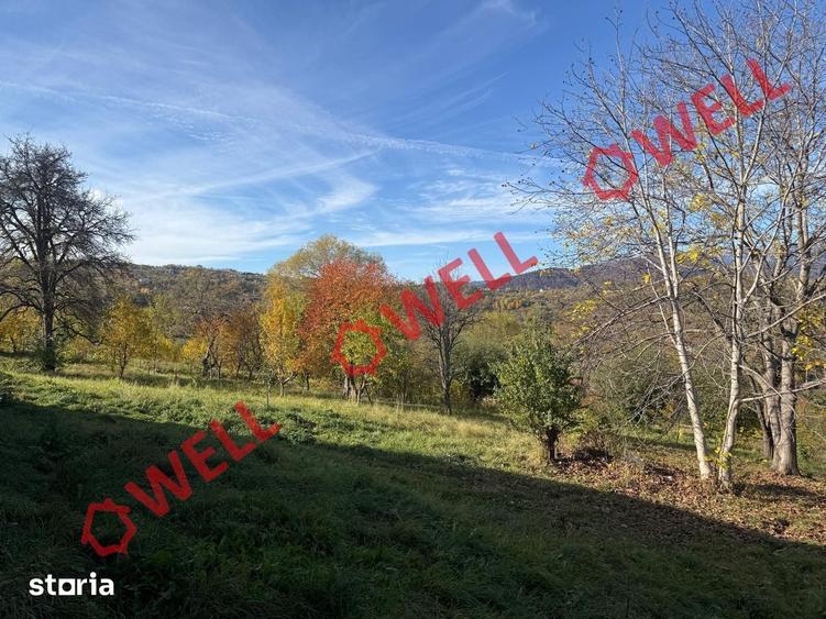 Casă cu Teren 4831 Mp în Bran